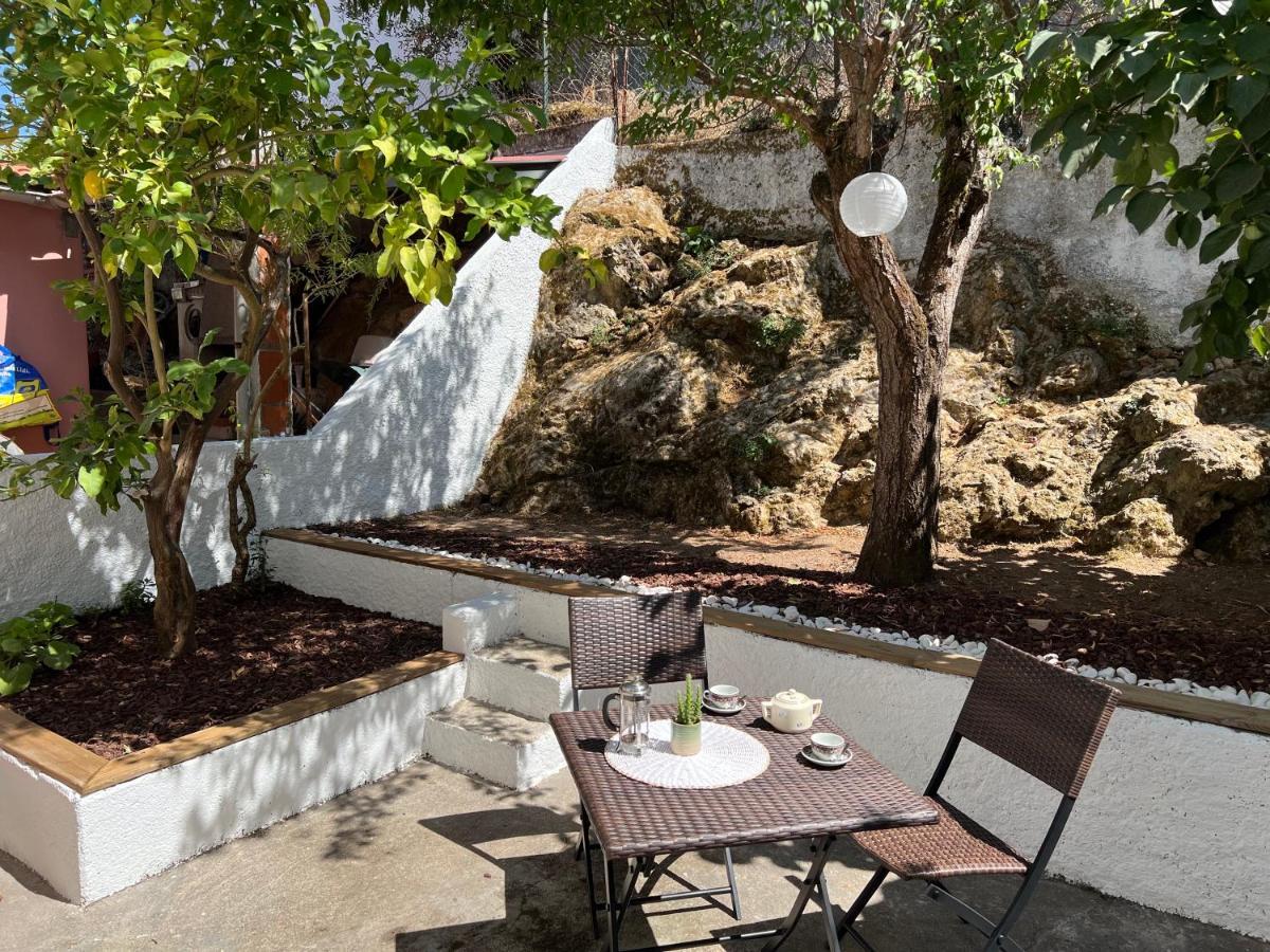 Moradia Xico'S House קוימברה מראה חיצוני תמונה